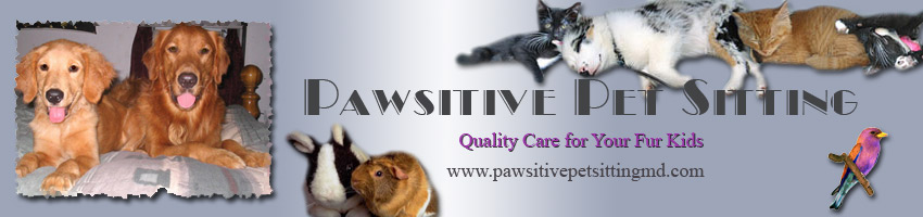 Pawsitive Pet Sitting