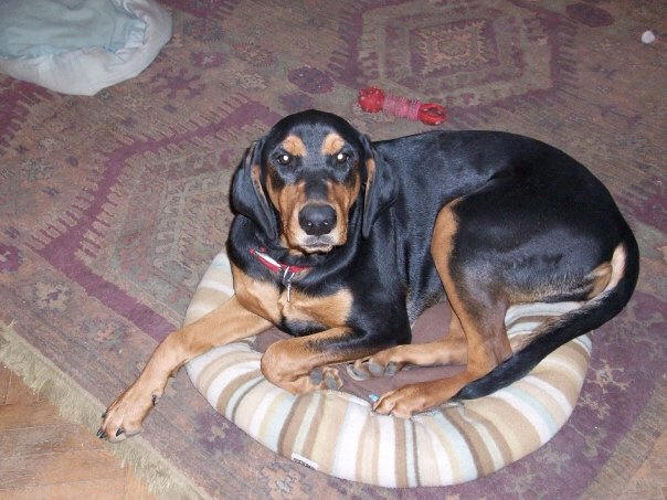 ZOEY